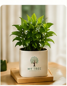 Client Gifts - Meaningful gifts that help relationships flourish.